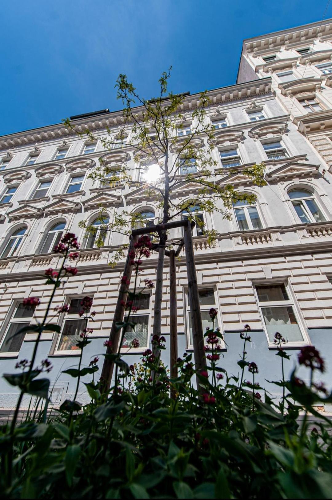 Vienna My City Apartment 1 Bedroom Exterior photo